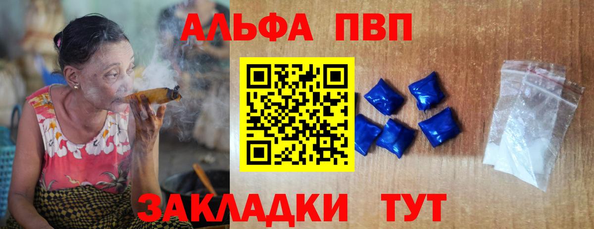 A PVP СК Кингисепп