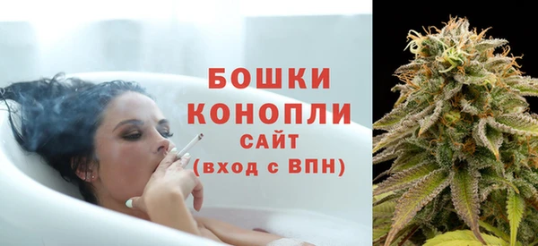 PSILOCYBIN Магас