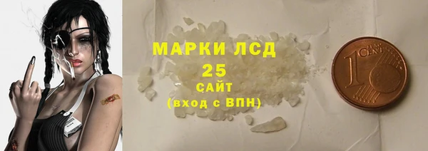 PSILOCYBIN Магас