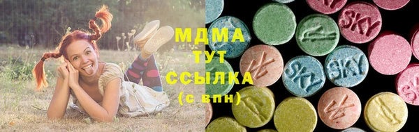 PSILOCYBIN Магас