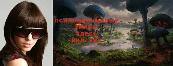 тгк Лиски