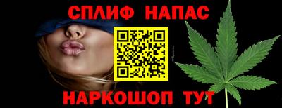 прущие грибы Гай