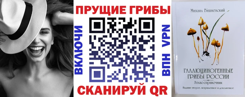Псилоцибиновые грибы Cubensis где купить Кингисепп