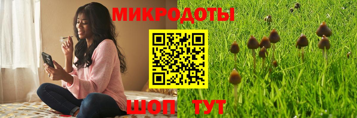 купить  сайты  Галлюциногенные грибы GOLDEN TEACHER  Вход с VPN  Кингисепп  Псилоцибиновые грибы ЛСД 