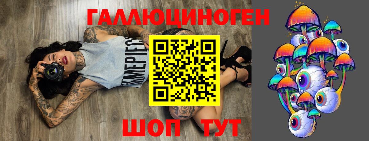 Галлюциногенные грибы прущие грибы  где купить   Кингисепп 