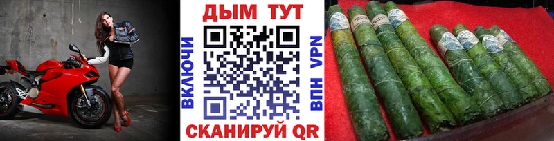 Конопля план  наркота  Кингисепп 
