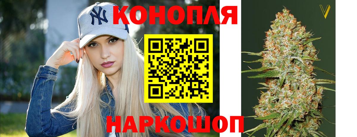 Канабис ГИДРОПОН Кингисепп